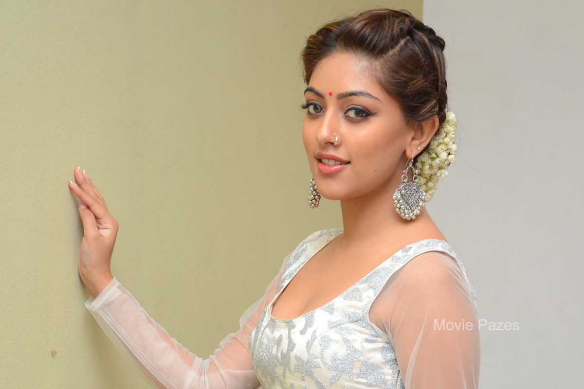 Anu Emmanuel at Kittu Unnadu Jagratha Gummadikaya Function
